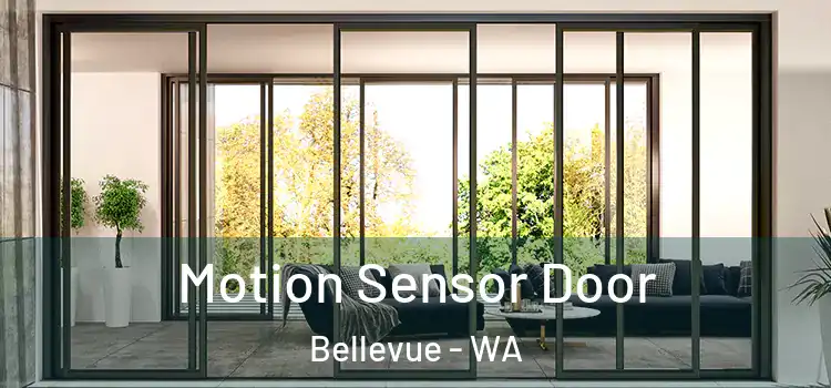  Motion Sensor Door Bellevue - WA